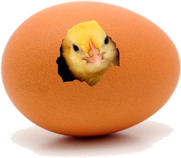 Egg Chick (400x400), Png Download
