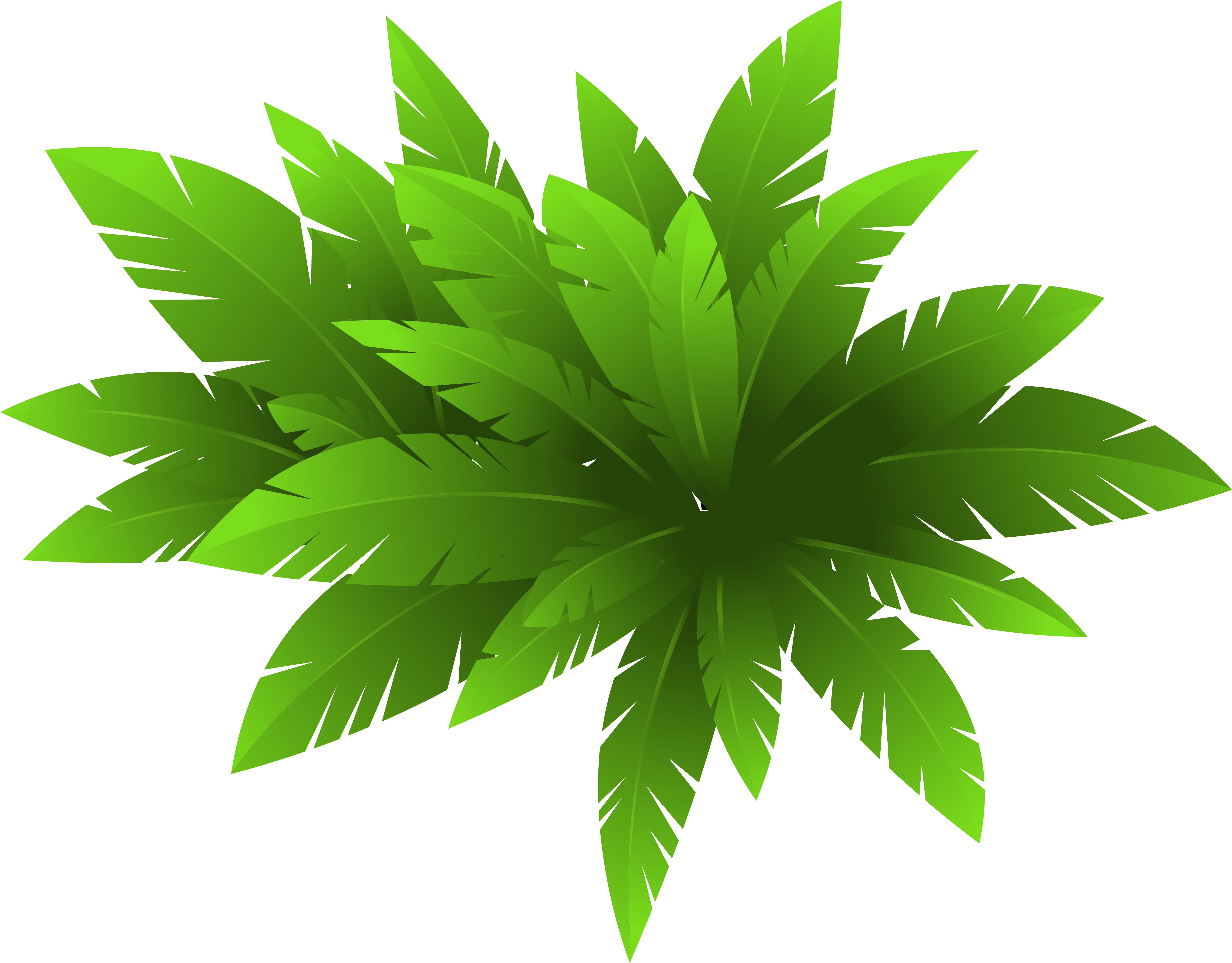 Green Plant Png Image Flower Clip Arts - Green Plants Png (600x473), Png Download