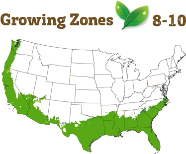Shipping Restriction - Salem Massachusetts On A Map (400x322), Png Download