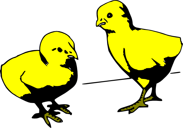 Cartoon Baby Chicks Gif (600x420), Png Download