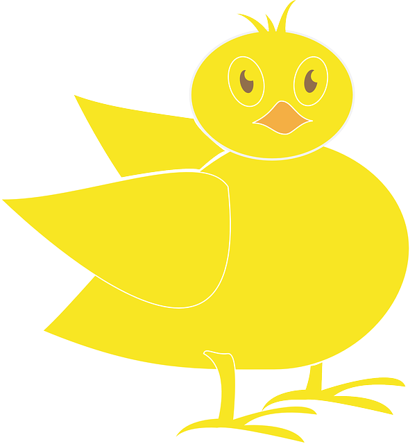 Baby, Yellow, Cartoon, Farm, Wings, Chick - Yellow (591x640), Png Download