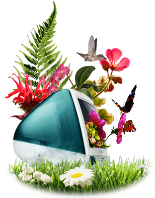 Graphic Designs Company - Mumbai Graphic Design (310x440), Png Download