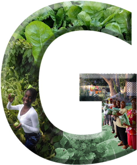 Crooms Academy Museum 1215 Historic Goldsboro Blvd - Botanical Garden (600x600), Png Download