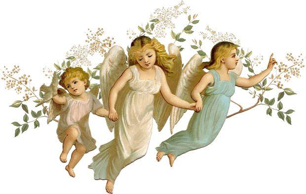 Angels - Angels Transparent (620x393), Png Download