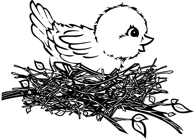 Baby, Drawing, Bird, Art, Chick, Nest - Bird In Nest Clip Art (640x459), Png Download