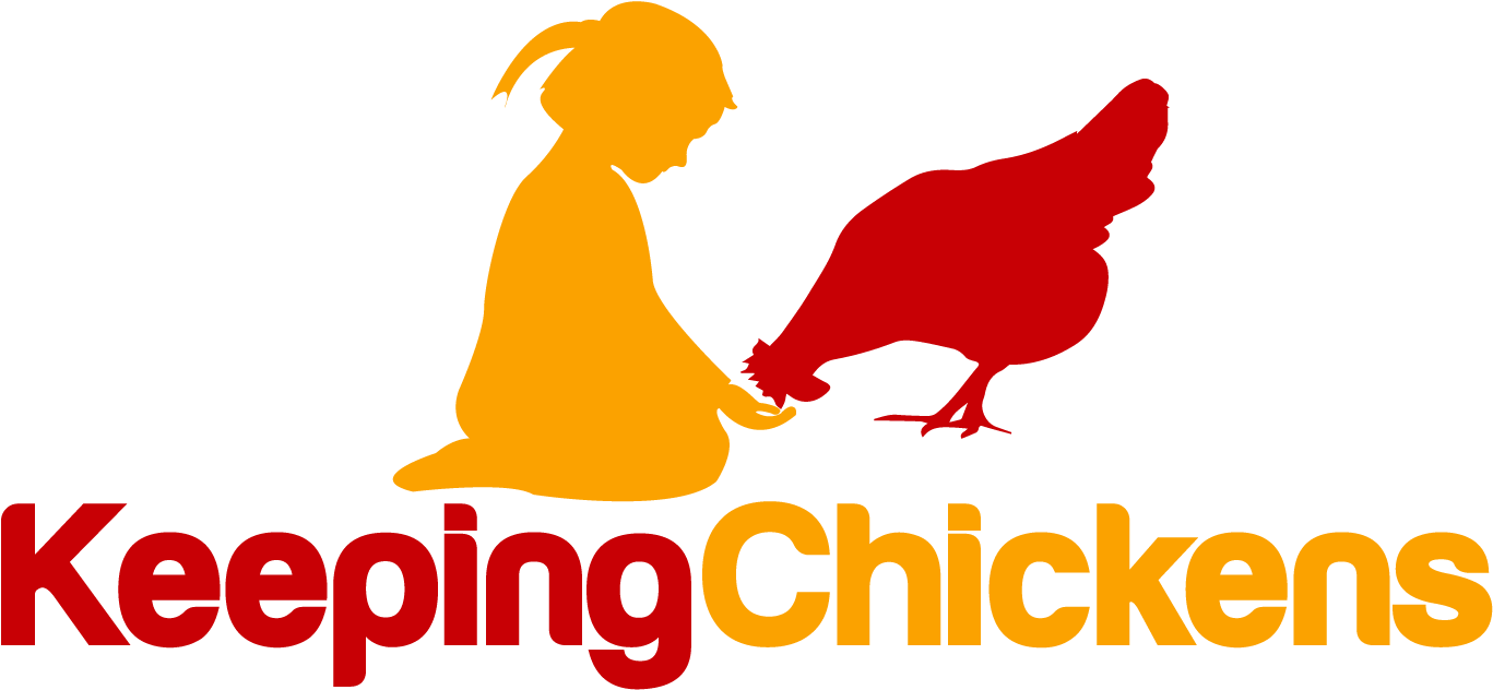 Raising And Keeping Chickens - Chicken (1476x787), Png Download