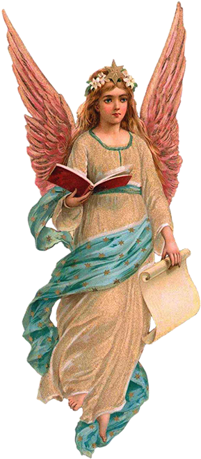 Free Stock S College Home Welcome To Angels - Angels Of God Png (300x677), Png Download