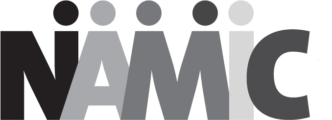 Namic (849x251), Png Download