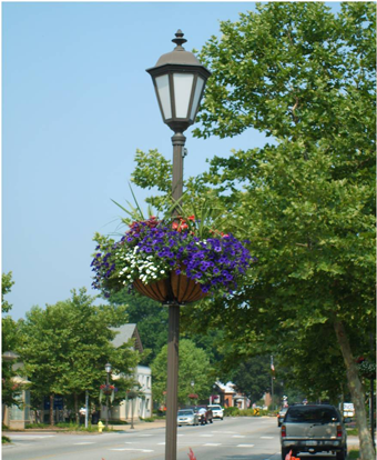 Flowering Lamppost Baskets On Main Street - Tree (618x413), Png Download