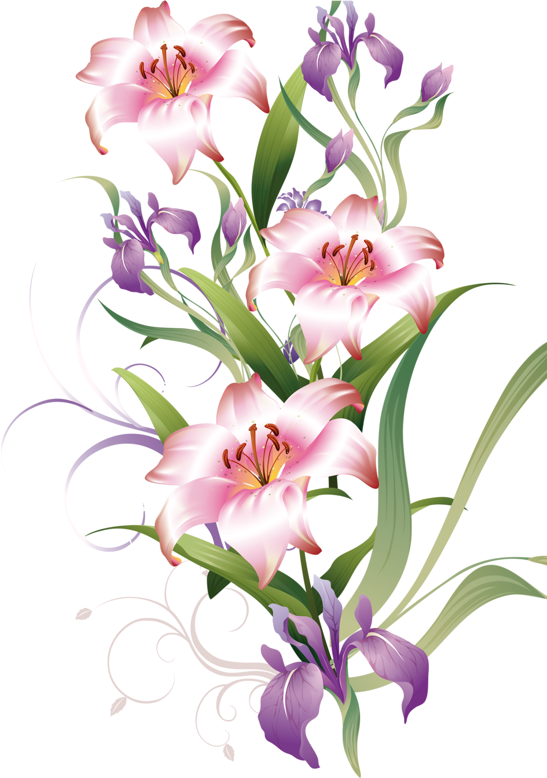 Фото, Автор Elena-soloveika На Яндекс - Lirio Png (1133x1600), Png Download