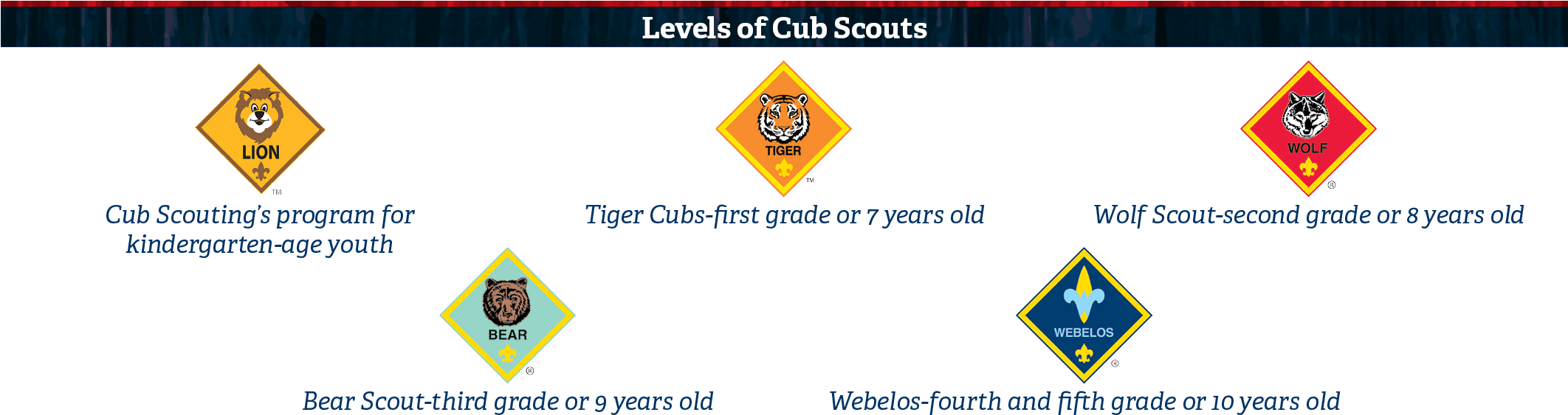 The Cub Scout Program Is Designed To Develop Physical, - Cub Scouting (2123x600), Png Download