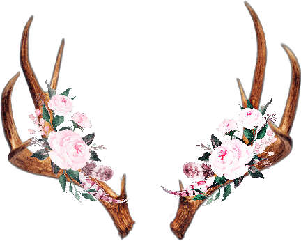 Horns Sticker Challenge On - Posterazzi Proverbs 3-15 Poster Print By Tara Moss (432x346), Png Download