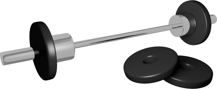 Barbell Png - Barbel Png (752x310), Png Download