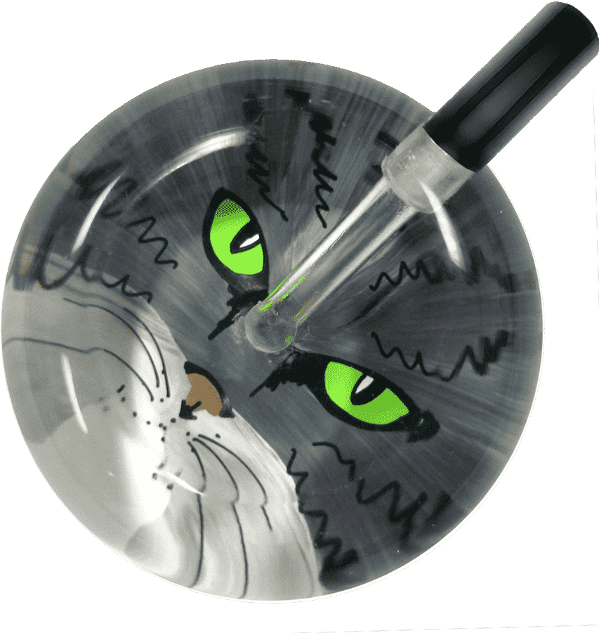 Tabby Cat Eyes - Wall Clock (900x900), Png Download