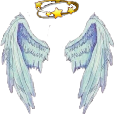 Wings Overlay (480x480), Png Download