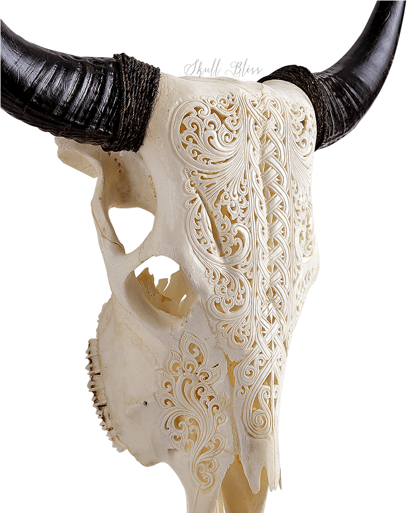 Xl Horns (1000x1000), Png Download