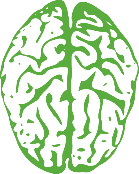 Brain Clipart Transparent Background - Transparent Background Brain Clipart (480x601), Png Download