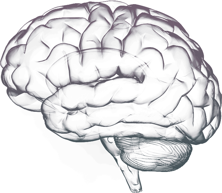 Brain Free Png Image - Bad Boy Can Fit So Many Memes (966x798), Png Download