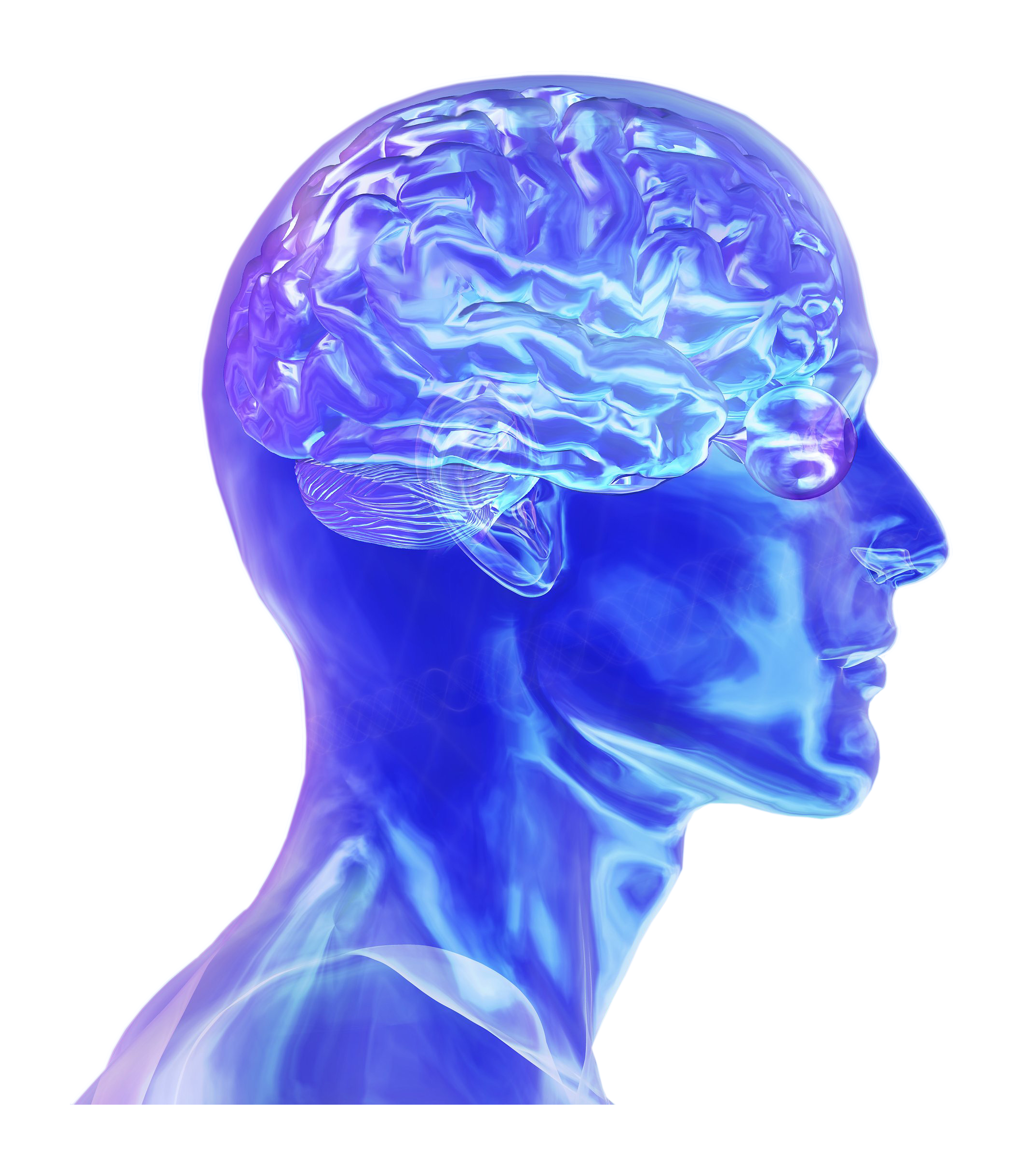 Синий синий над головой. Мозг в голове. Голова разум человека.