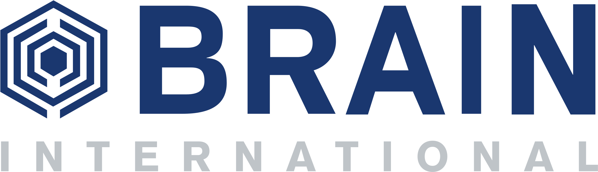 Brain International Logo Png Transparent - Brain Vector (2400x2400), Png Download