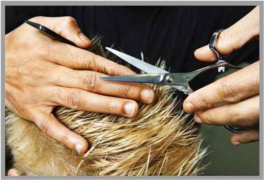 Download Our Men's Design Cut Is A Cut All Your Own That You - Hair Salon  PNG Image with No Background 