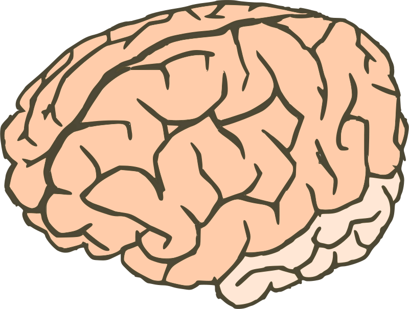 Knowledge Clipart Knowledge Brain - Workings Of An Idle Mind: A Collection Of Short Stories (800x605), Png Download