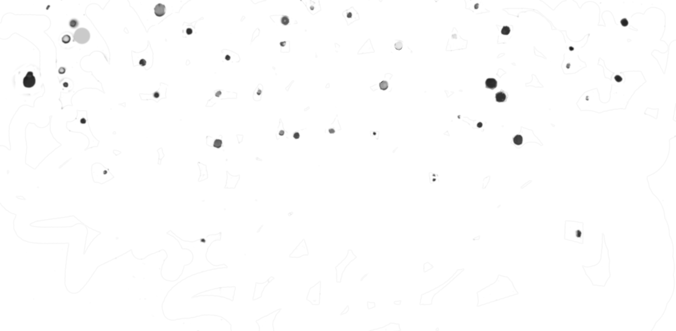 Tour - Black-and-white (2560x1254), Png Download