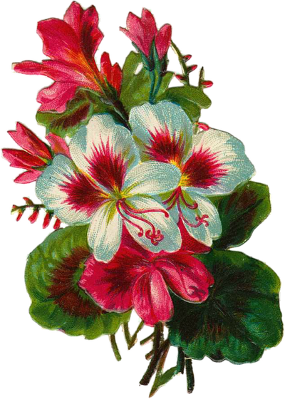 I - Bon Week End (400x560), Png Download