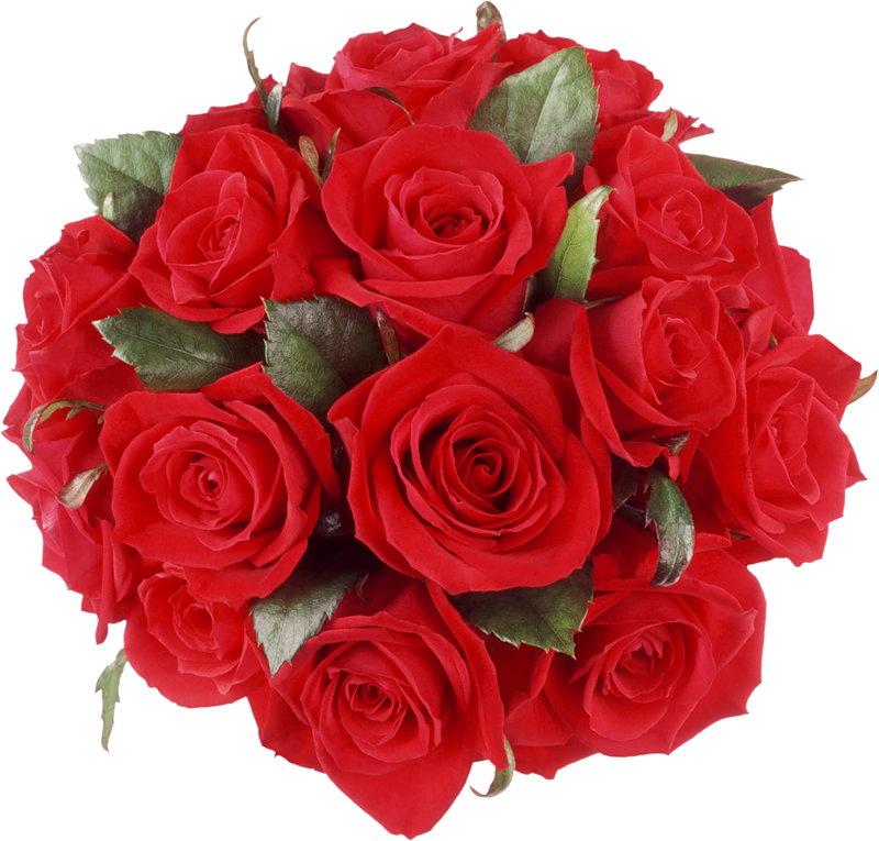 Happy Birthday Roses Flower Wishes (800x765), Png Download