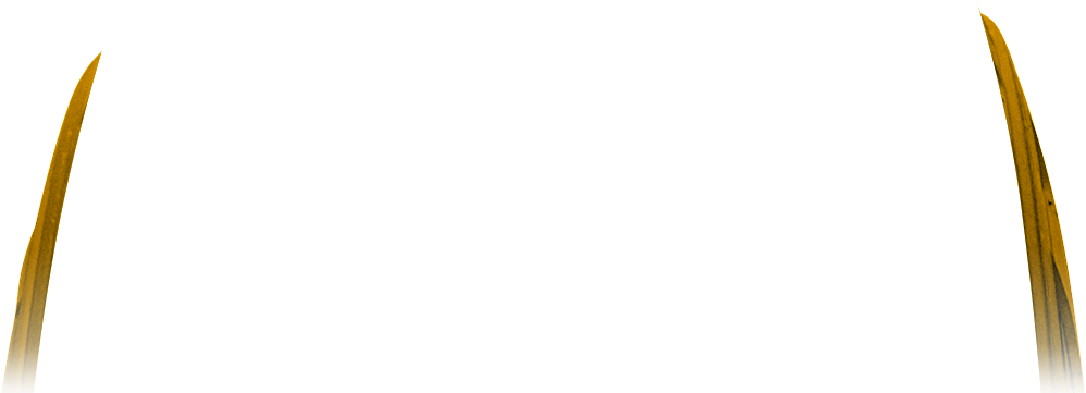 Continuous Traction In Off Road Situations (1080x600), Png Download