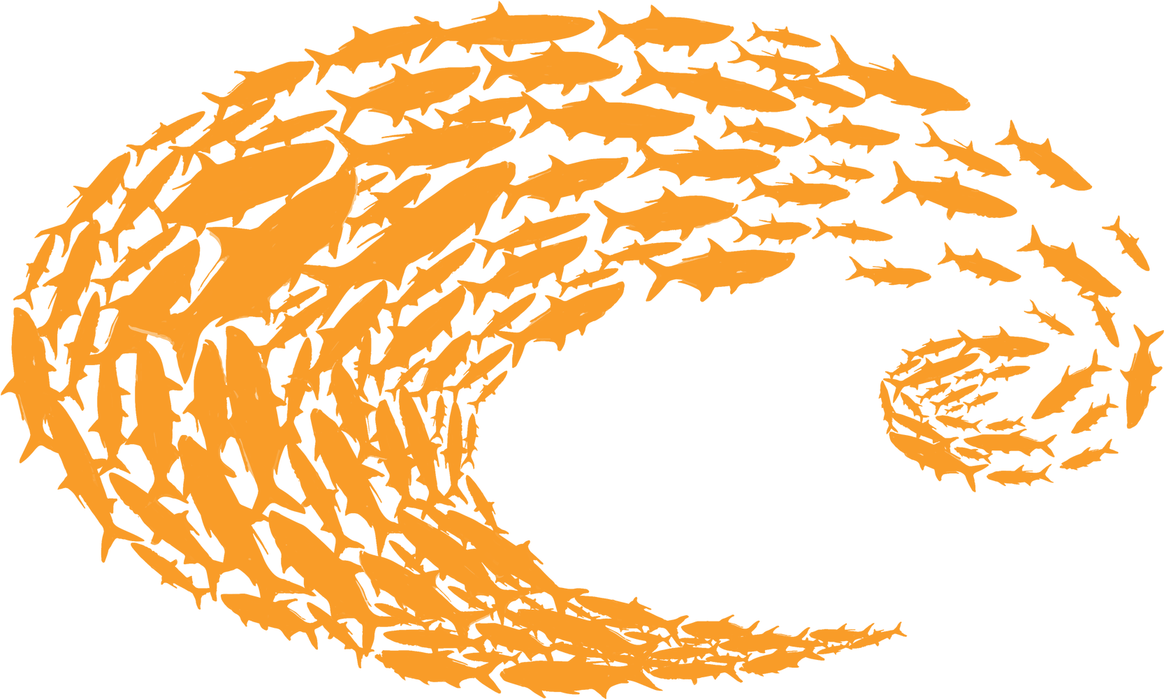 Costa Orange Logo Schoolin Decal - Costa Del Mar Logo (2000x1000), Png Download