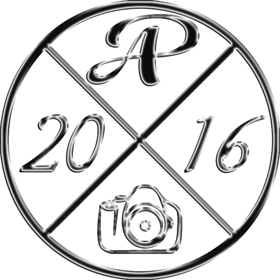 Logo - Decal (573x573), Png Download