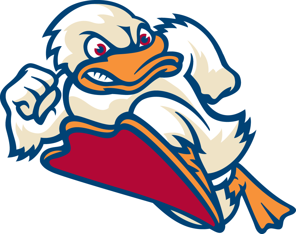 Stevens Ducks Mascot, Attila, Color (1000x791), Png Download