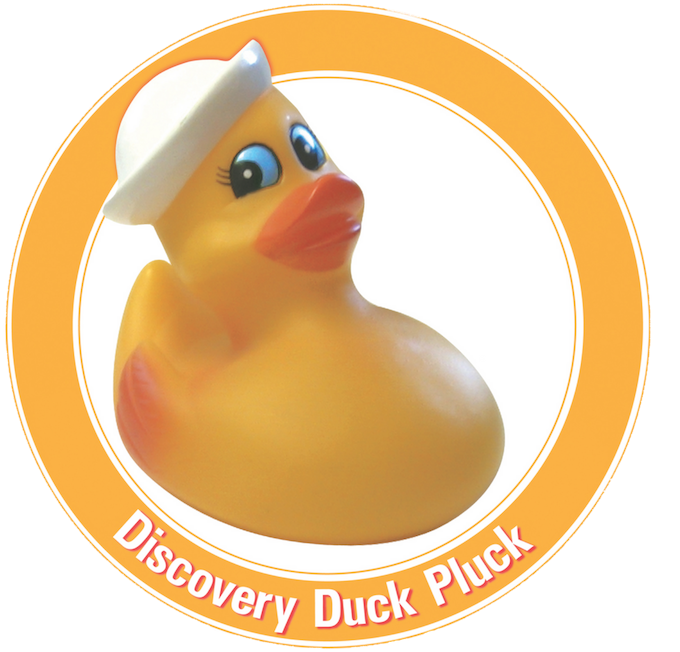 The All-american Discovery Duck Pluck To Happen On (940x788), Png Download