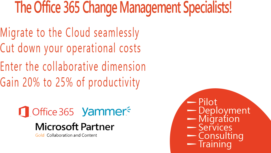 Cloudlivia Site Web - Office 365 (1024x576), Png Download