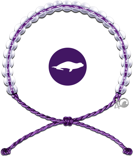 Hawaiian Monk Seal Bracelet - 4ocean Bracelet (600x600), Png Download