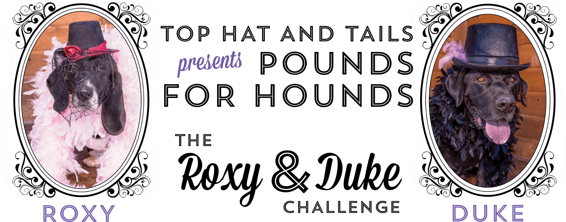 Pounds For Hounds - Bank Of Montreal (2000x790), Png Download