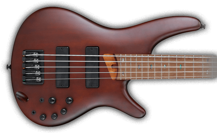 With Its Continued Popularity, Ibanez Is Constantly - Guitar (747x474), Png Download
