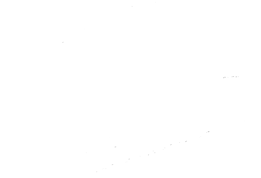 Tiesto Signature - Bird (1000x727), Png Download