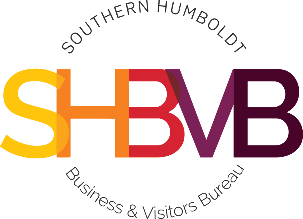 Color (1000x723), Png Download