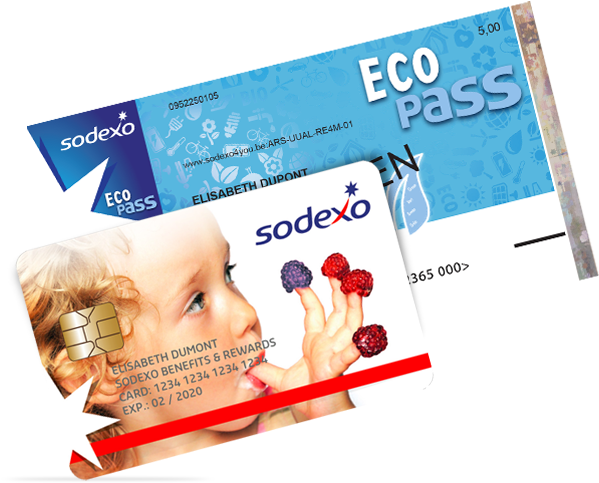 Éco-chèque - Sodexo (650x500), Png Download