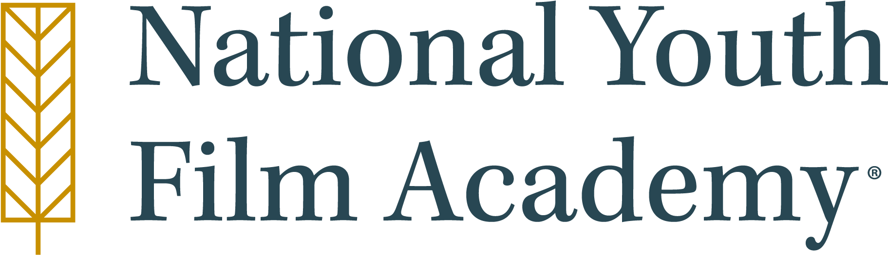 Nyfa - Illinois Consulting Academy (1859x534), Png Download