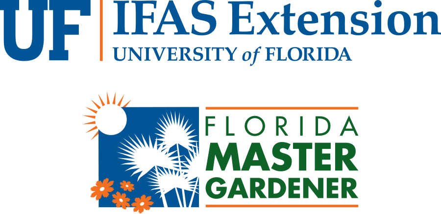 Uf/ifas Master Gardener Logo Stacked Color Small - University Of Florida Master Gardening (900x437), Png Download