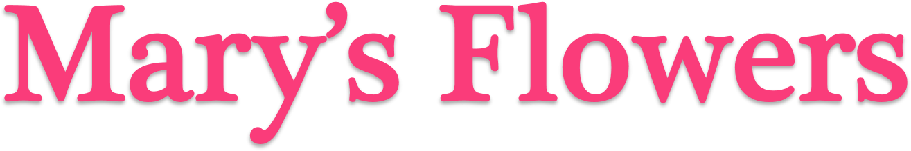 Mary's Flowers - Medford Raiders Logo (1569x439), Png Download