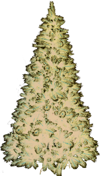 Christmas Tree Montreal - Christmas Tree (600x600), Png Download