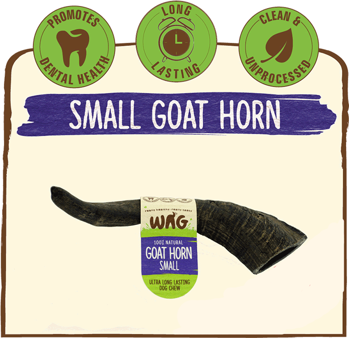 Goat Horn Treats For Dogs Small - Whole Antler Chew - Medium Size (700x700), Png Download