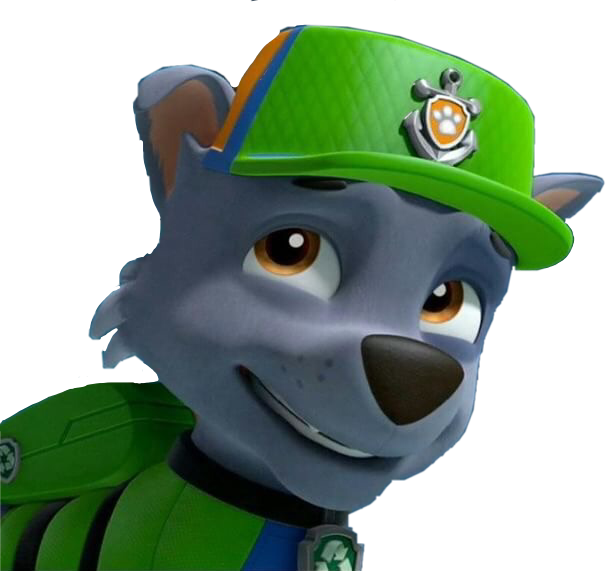 Rocky Pawpatrolrocky Seapatrol Pawpatrol Sea Patrol - Sea Patrol (606x571), Png Download