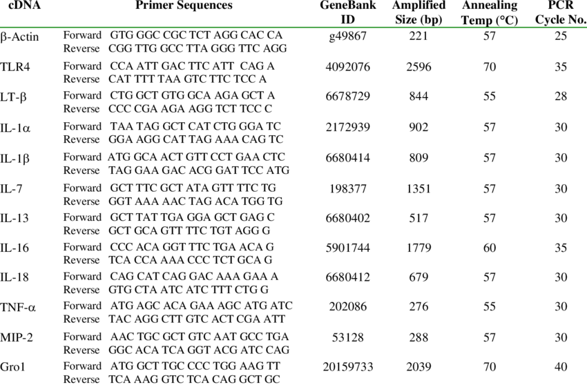 Cdna Primer Sequences And Pcr Conditions - Document (850x558), Png Download