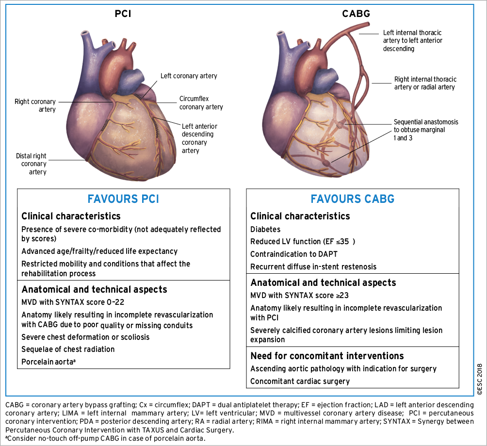 Aspects To Be Considered By The Heart Team For Decision-making - Coronary Artery Bypass Surgery (1004x919), Png Download