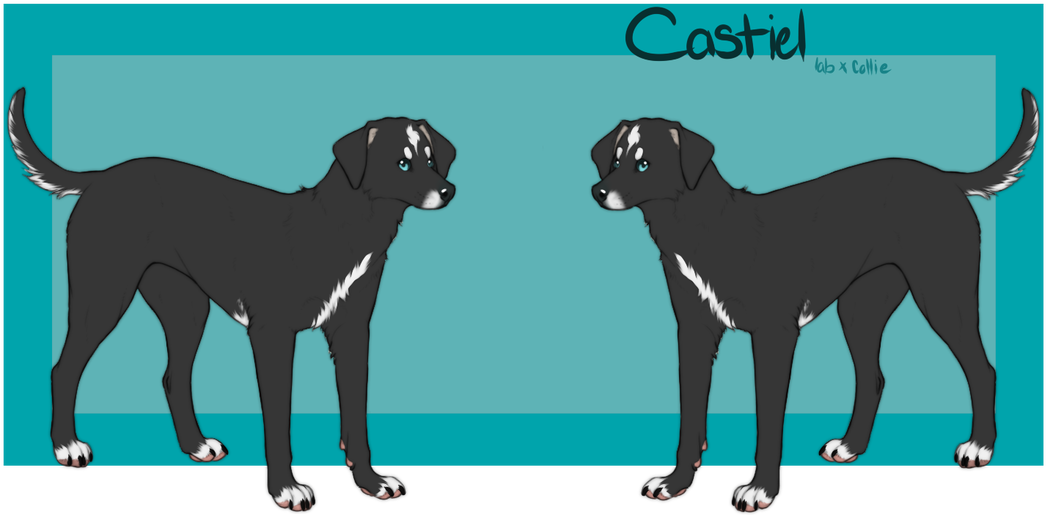 Dog Catches Something (1100x673), Png Download